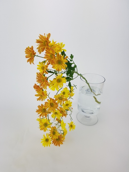 But wait there's more floral art design But wait there's more floral art design