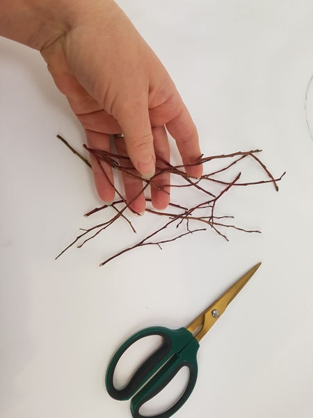 Choose twigs that have a ghostly look to them Choose twigs that have a ghostly look to them