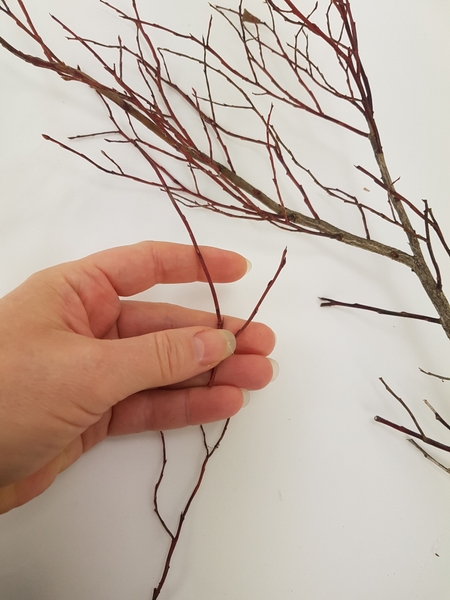 Cut a handful of thin twigs to about the same size Cut a handful of thin twigs to about the same size