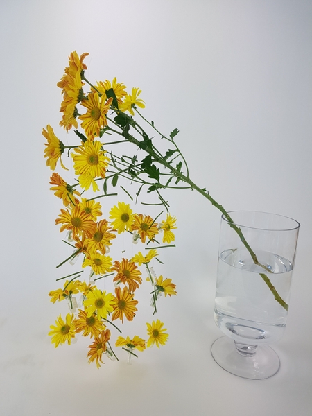 Easy and convenient way to securely hang flowers on a line Easy and convenient way to securely hang flowers on a line