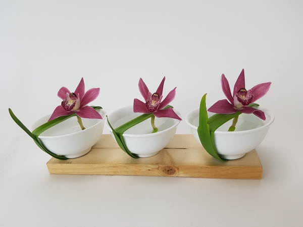 From A... for Acer to Z… for Zantedeschia floral art design From A... for Acer to Z… for Zantedeschia floral art design