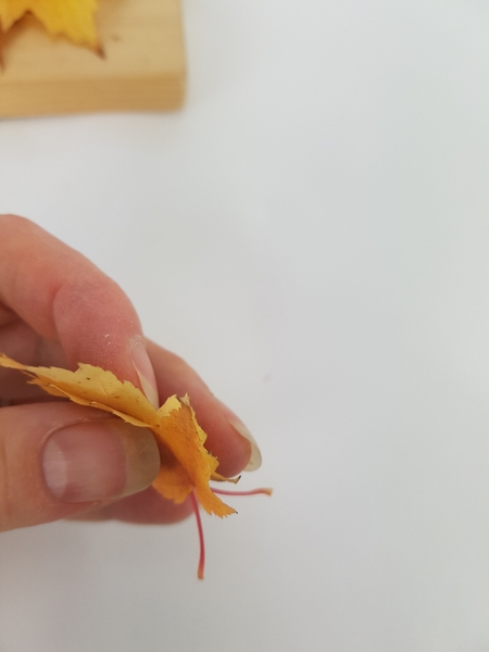 Glue the two small leaves Glue the two small leaves