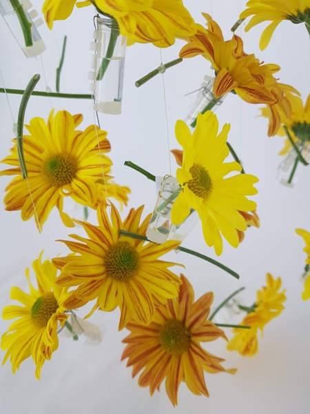 Hanging flowers vertically in an arrangement