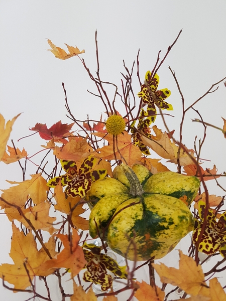 Make a spider from plant material Make a spider from plant material
