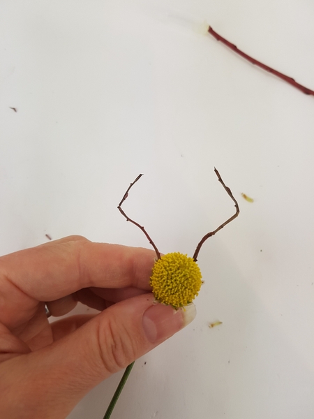 Match the twigs into pairs and glue them to the chrysanthemum