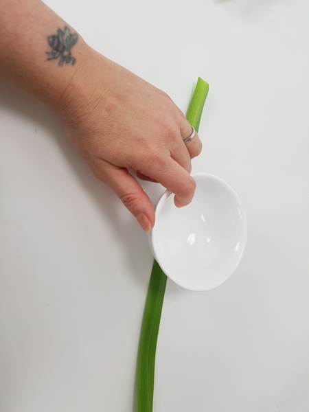 Measure a blade of grass or slender leaf. Measure a blade of grass or slender leaf.