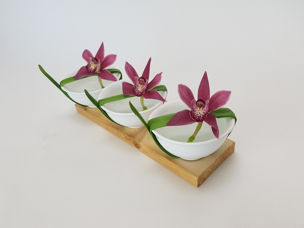 Minimalist cymbidium orchid flower arrangement Minimalist cymbidium orchid flower arrangement