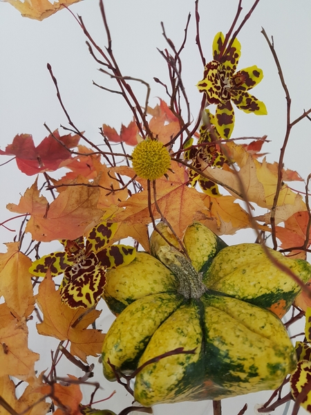 Pumpkin and oncidium orchid Halloween flower arrangement. Pumpkin and oncidium orchid Halloween flower arrangement.