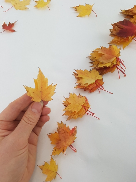 Set aside the two smallest leaves to use as a tree topper Set aside the two smallest leaves to use as a tree topper