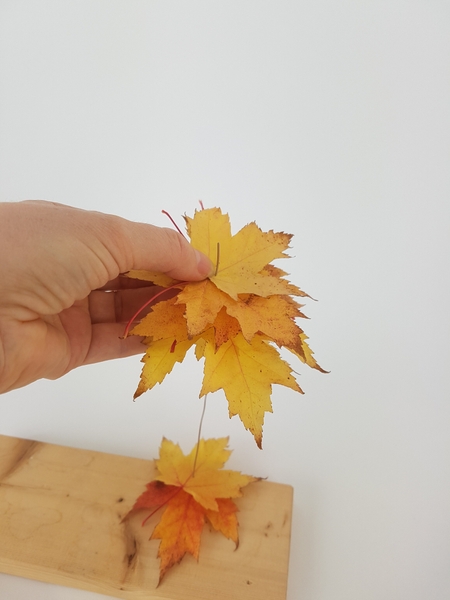 Skewer the leaves onto the wire Skewer the leaves onto the wire