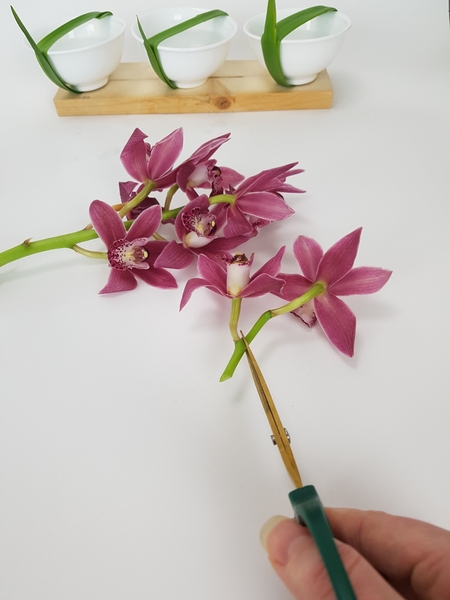 Snip the orchids from the stem. Snip the orchids from the stem.