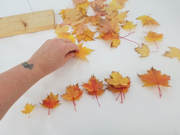 Sort the leaves into stacks similar in size Sort the leaves into stacks similar in size