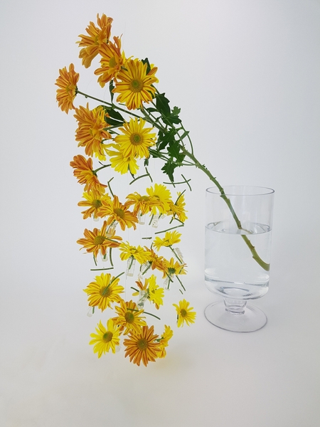 Special clips to hang flowers vertically in a design Special clips to hang flowers vertically in a design