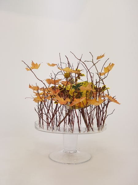 Suspend your floral design pumpkin for Halloween