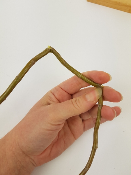 Break the twig again Break the twig again
