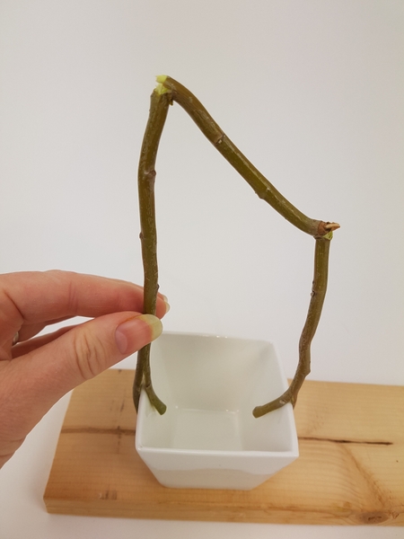 Fit the twig so that it pinches the sides of the container Fit the twig so that it pinches the sides of the container