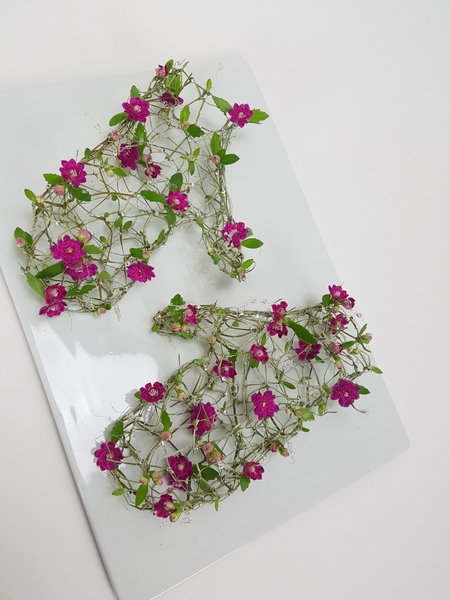 Kalanchoe floral mittens