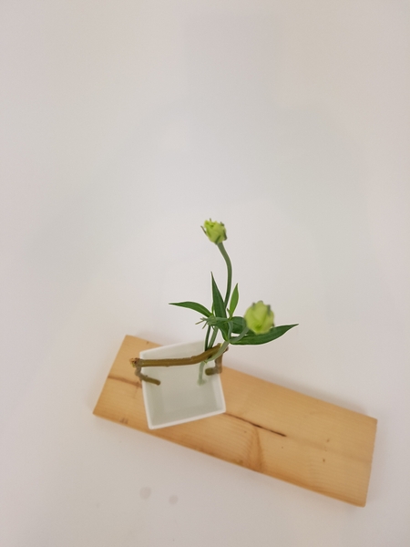 Lisianthus bud flower arrangement Lisianthus bud flower arrangement