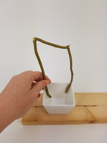 Measure the twig to fit down the sides of a small container