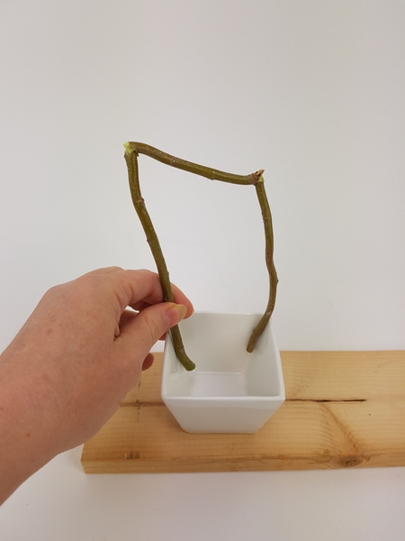 Measure the twig to fit down the sides of a small container Measure the twig to fit down the sides of a small container
