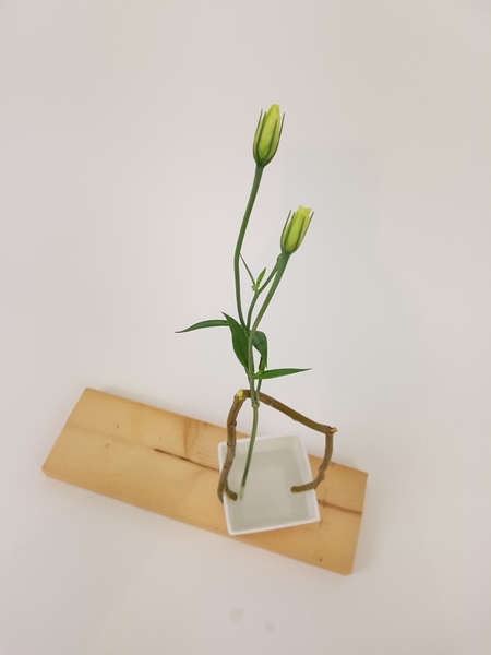 Minimalist floral art