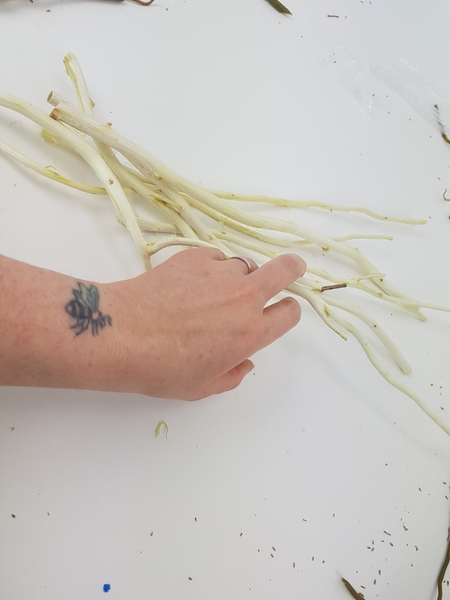 Place the stems on a working surface Place the stems on a working surface