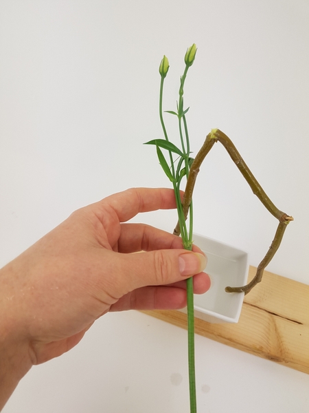 Slip the Lisianthus buds through the twig Slip the Lisianthus buds through the twig
