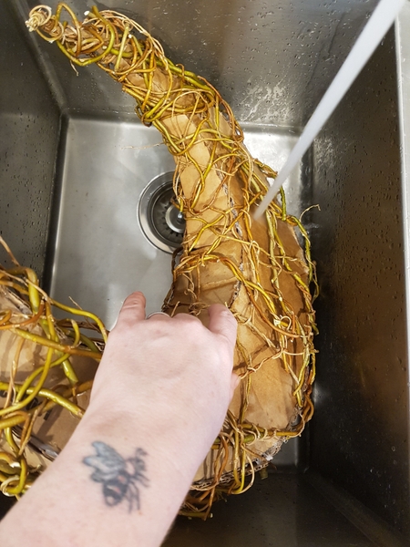 Soak the cardboard and willow in warm water Soak the cardboard and willow in warm water