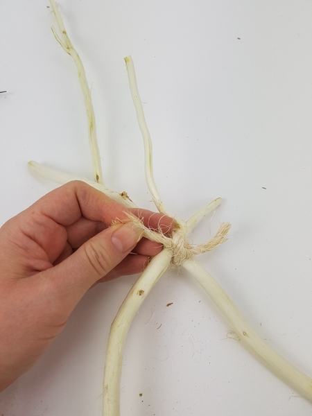 Tie two twigs to create a v Tie two twigs to create a v