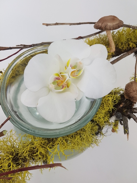 Flowers float in water