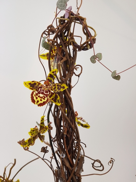 Oncidium orchid vine chandelier floral design Oncidium orchid vine chandelier floral design