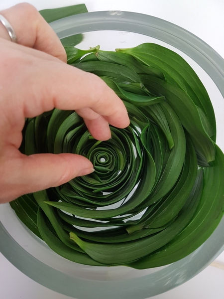 And slip the roll into the middle of the spiral And slip the roll into the middle of the spiral