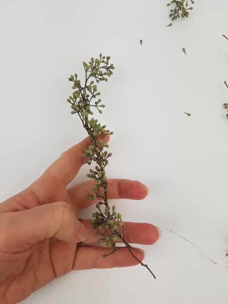 Continue to add stems Continue to add stems
