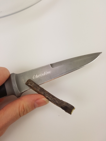Cut a slit into a sturdy twig Cut a slit into a sturdy twig