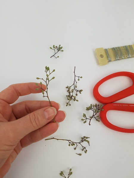 Cut seeded Eucalyptus into snippets