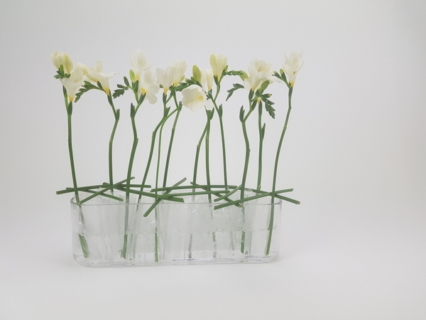 Do they have cold feet? floral art design Do they have cold feet? floral art design