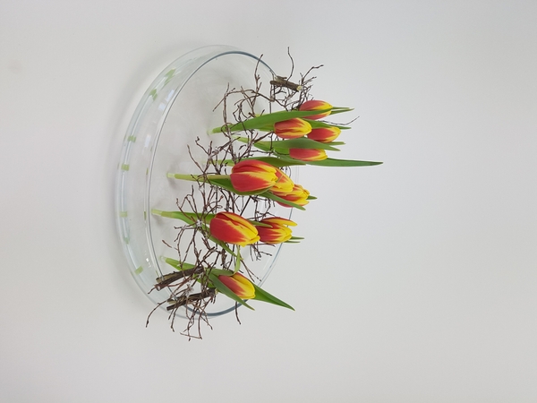 Minimalist winter flower arrangement Minimalist winter flower arrangement