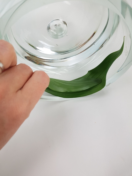 Place the lily foliage in the container Place the lily foliage in the container