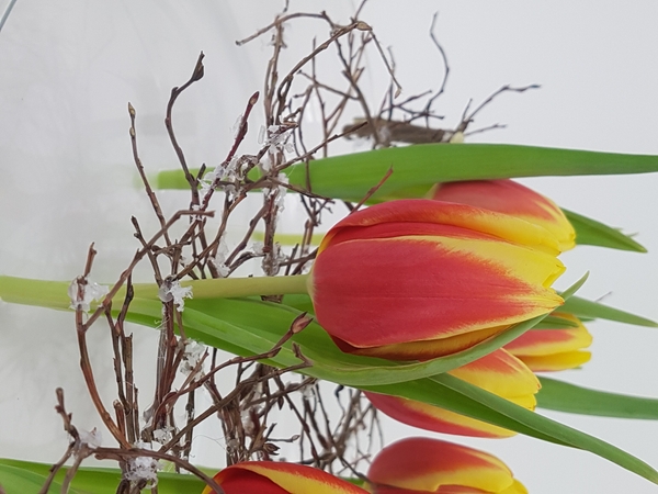 Tulips in a winter floral design Tulips in a winter floral design