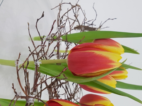 Tulips in a winter floral design