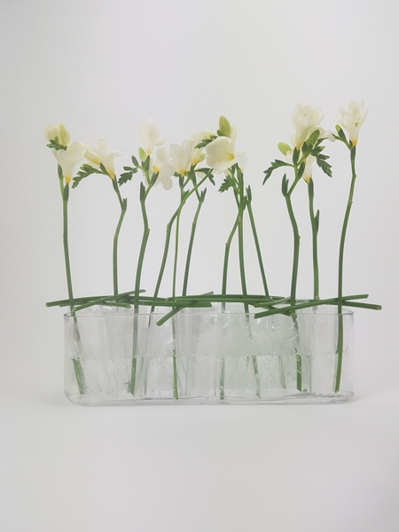 Winter elements in floral art. Winter elements in floral art.
