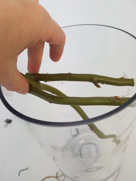 Cut two sturdy willow twigs to wedge into the glass container Cut two sturdy willow twigs to wedge into the glass container