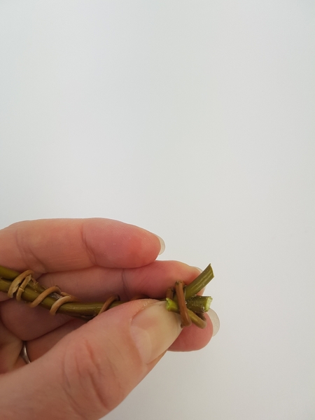 Knot the end of the winding stem Knot the end of the winding stem