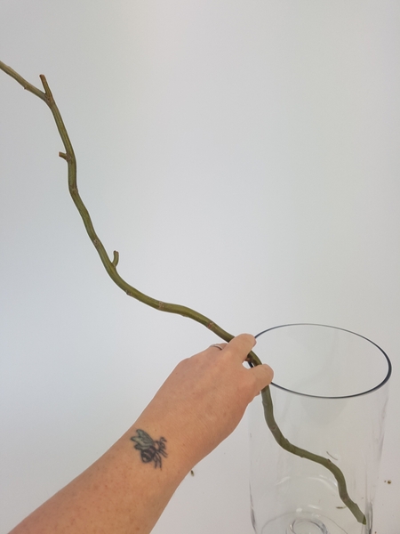 Place a willow twig in a container Place a willow twig in a container