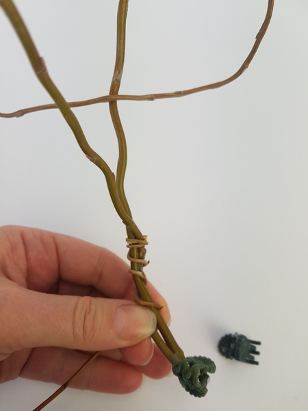 Wind the stem tightly over its own end and down the two willow stems Wind the stem tightly over its own end and down the two willow stems