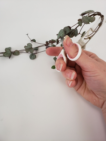 Cut some hearts from a Ceropegia Woodii vine Cut some hearts from a Ceropegia Woodii vine
