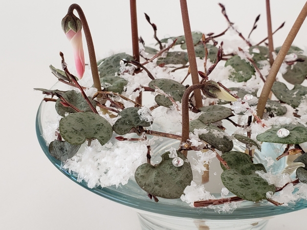 Cyclamen bud in a flower arrangement