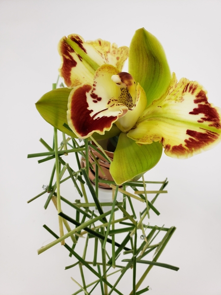 Cymbidium orchid flower arrangement Cymbidium orchid flower arrangement