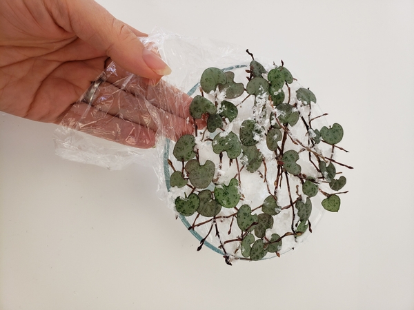 Gently peel the glue puddles and twigs away from the film Gently peel the glue puddles and twigs away from the film