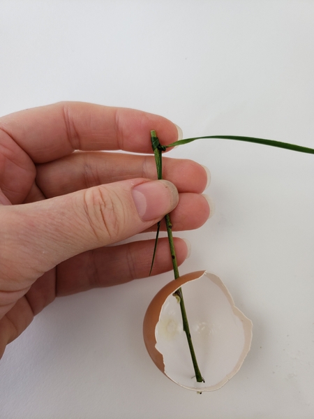 Knot the grass around one side of the twig Knot the grass around one side of the twig